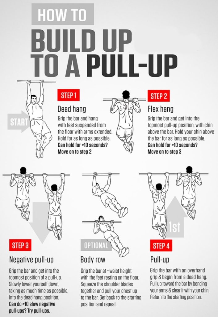 Pull Up Progression Exercise Guide