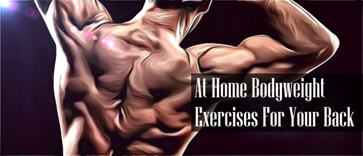 Bodyweight Back Exercises at Home