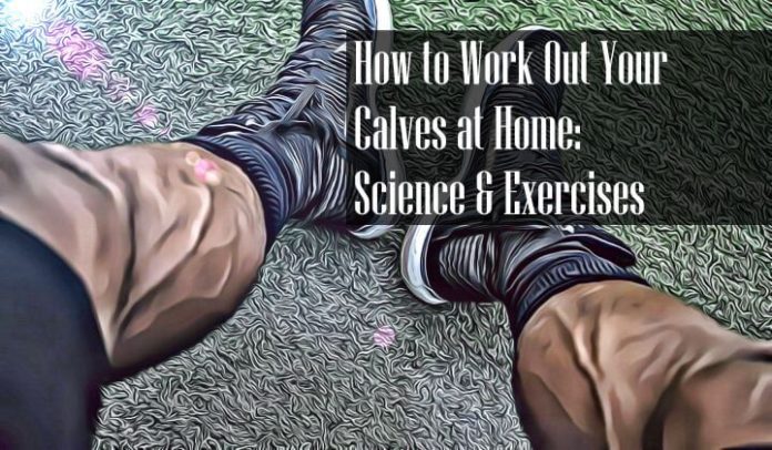  hur man tränar dina kalvar hemma