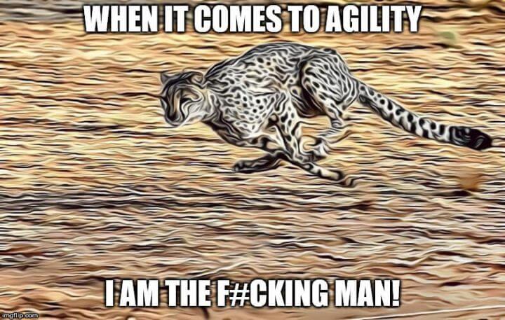 What is Agility