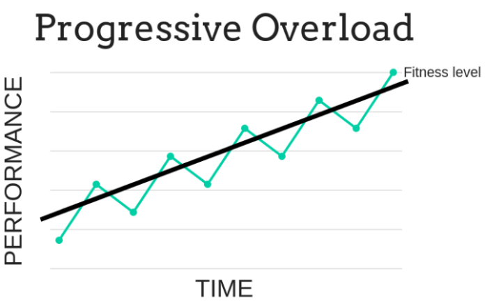 The Progressive Overload Principle: Definition and Science