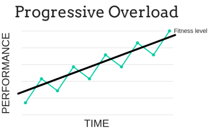 利用者:Overload