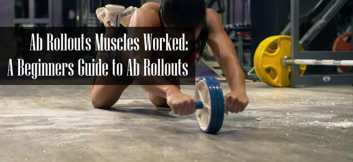 Ab Rollouts Muscles Worked