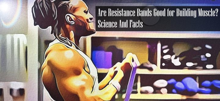 Are Resistance Bands Good for Building Muscle? Science And Facts