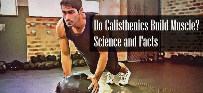 Does Calisthenics Build Muscle