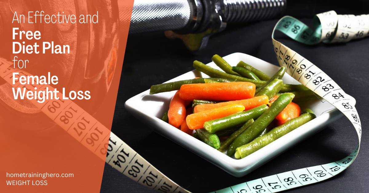 Effective And Free Diet Plan For Weight Loss For Female 2024 