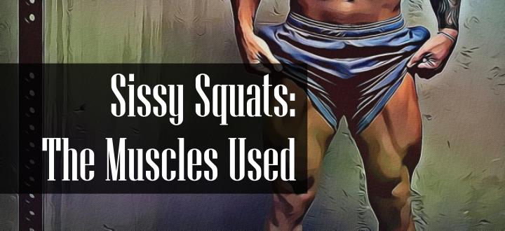 Sissy Squat Muscles Worked