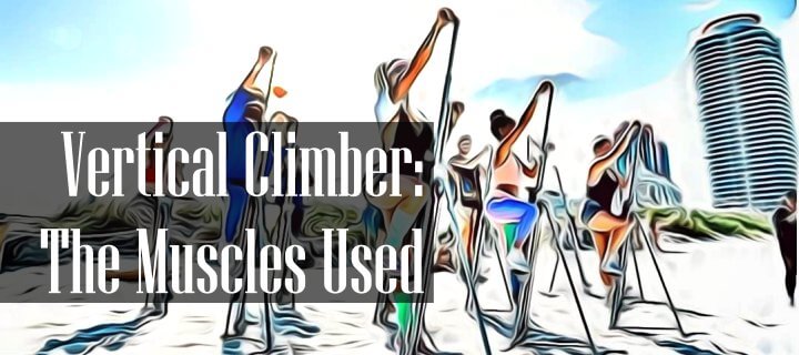 Vertical Climber Muscles Used