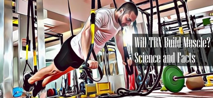 Will TRX Build Muscle